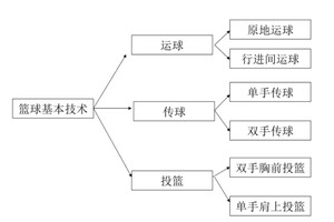 哪里可以找到详细的篮球训练与发展蓝图:全面指南与专家建议