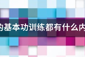 青少年篮球教学训练指导手册内容是什么